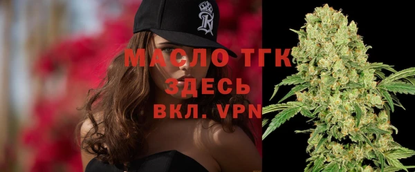 гидра Арсеньев