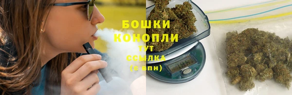 гидра Арсеньев