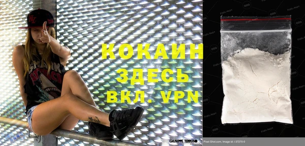 гидра Арсеньев