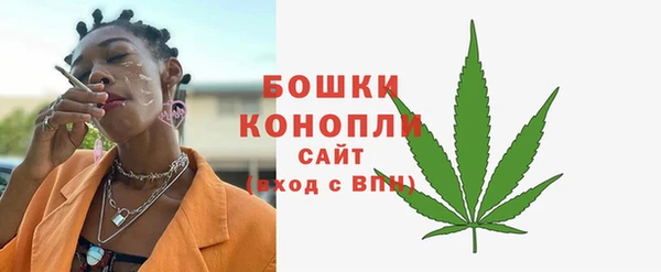 гидра Арсеньев