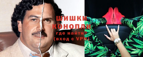 гидра Арсеньев