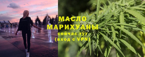 гидра Арсеньев