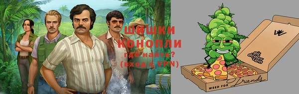 гидра Арсеньев